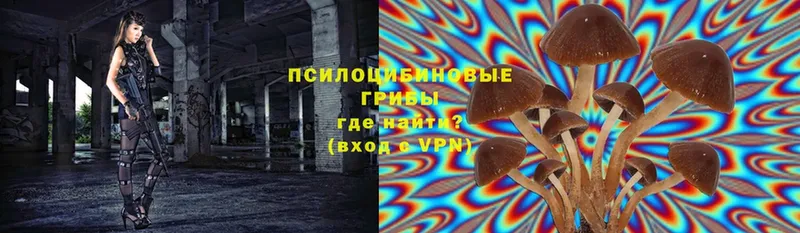 Галлюциногенные грибы мухоморы Нижняя Салда